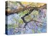 Wisteria, Van Vleck-Sharon Pitts-Stretched Canvas