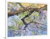 Wisteria, Van Vleck-Sharon Pitts-Framed Giclee Print