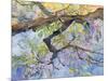 Wisteria, Van Vleck-Sharon Pitts-Mounted Giclee Print