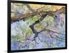 Wisteria, Van Vleck-Sharon Pitts-Framed Giclee Print