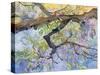 Wisteria, Van Vleck-Sharon Pitts-Stretched Canvas