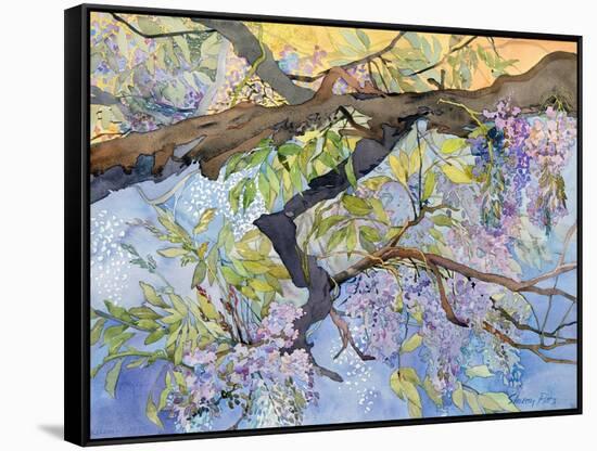 Wisteria, Van Vleck-Sharon Pitts-Framed Stretched Canvas