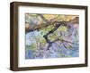 Wisteria, Van Vleck-Sharon Pitts-Framed Giclee Print