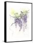 Wisteria-The Tangled Peacock-Framed Stretched Canvas