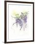 Wisteria-The Tangled Peacock-Framed Giclee Print