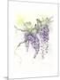 Wisteria-The Tangled Peacock-Mounted Giclee Print