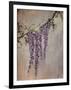 Wisteria-Kari Taylor-Framed Giclee Print