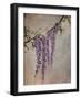 Wisteria-Kari Taylor-Framed Giclee Print