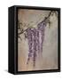 Wisteria-Kari Taylor-Framed Stretched Canvas