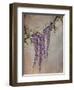 Wisteria-Kari Taylor-Framed Giclee Print