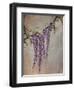 Wisteria-Kari Taylor-Framed Giclee Print