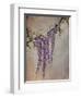 Wisteria-Kari Taylor-Framed Giclee Print