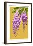 Wisteria-Lantern Press-Framed Art Print