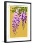 Wisteria-Lantern Press-Framed Art Print