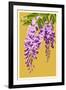 Wisteria-Lantern Press-Framed Art Print