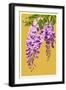 Wisteria-Lantern Press-Framed Art Print