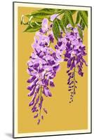 Wisteria-Lantern Press-Mounted Art Print