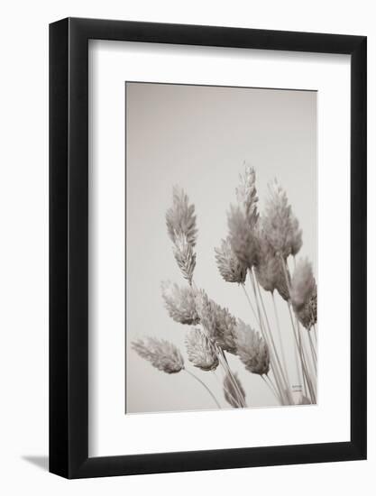 Wistful BW-Nathan Larson-Framed Photographic Print