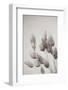 Wistful BW-Nathan Larson-Framed Photographic Print