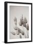 Wistful BW-Nathan Larson-Framed Photographic Print