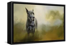 Wistful Dane-Jai Johnson-Framed Stretched Canvas