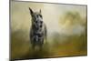 Wistful Dane-Jai Johnson-Mounted Giclee Print