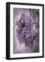 Wistful Wisteria-Jessica Jenney-Framed Giclee Print