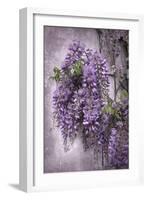 Wistful Wisteria-Jessica Jenney-Framed Giclee Print