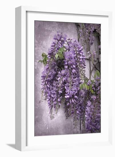 Wistful Wisteria-Jessica Jenney-Framed Giclee Print