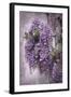 Wistful Wisteria-Jessica Jenney-Framed Giclee Print