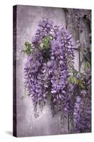 Wistful Wisteria-Jessica Jenney-Stretched Canvas