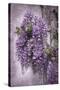 Wistful Wisteria-Jessica Jenney-Stretched Canvas