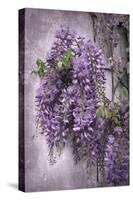 Wistful Wisteria-Jessica Jenney-Stretched Canvas