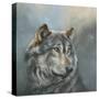 Wistful Wolf-Dina Perejogina-Stretched Canvas