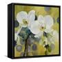 Wistful-Jennifer Rasmusson-Framed Stretched Canvas