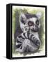 Wistful-Barbara Keith-Framed Stretched Canvas