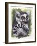 Wistful-Barbara Keith-Framed Giclee Print