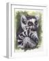 Wistful-Barbara Keith-Framed Giclee Print