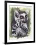 Wistful-Barbara Keith-Framed Giclee Print