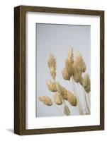 Wistful-Nathan Larson-Framed Photographic Print