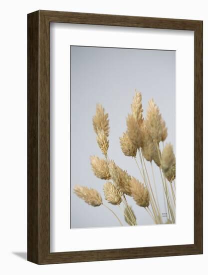 Wistful-Nathan Larson-Framed Photographic Print