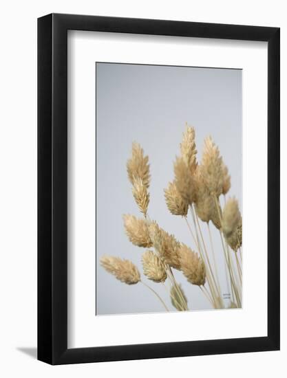 Wistful-Nathan Larson-Framed Photographic Print