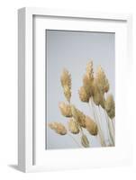 Wistful-Nathan Larson-Framed Photographic Print