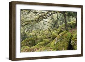 Wistman's Wood, Dartmoor-Adrian Bicker-Framed Photographic Print