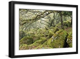 Wistman's Wood, Dartmoor-Adrian Bicker-Framed Photographic Print