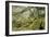 Wistman's Wood, Dartmoor-Adrian Bicker-Framed Photographic Print