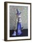 Witch 2014-null-Framed Photographic Print