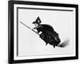 Gramercy Black