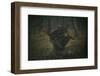 Witch of the Forest with Her Crows . Dark Fantasy and Magic-CaptBlack76-Framed Photographic Print