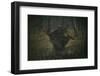Witch of the Forest with Her Crows . Dark Fantasy and Magic-CaptBlack76-Framed Photographic Print